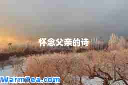 怀念父亲的诗