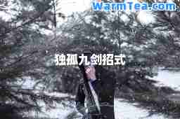 独孤九剑招式