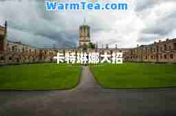 卡特琳娜大招