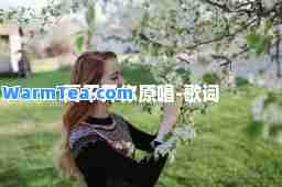 离不开你原唱-歌词