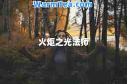 火炬之光法师
