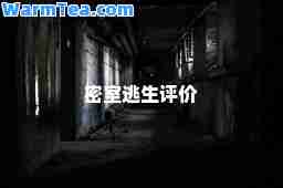 密室逃生评价