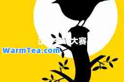 汉字书写大赛