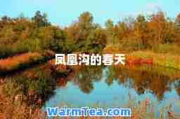 凤凰沟的春天