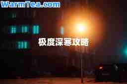 极度深寒攻略