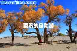 额济纳自助游