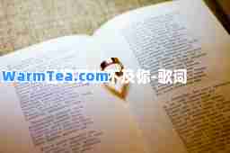 世间万物不及你-歌词
