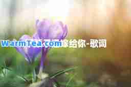 下辈子还嫁给你-歌词