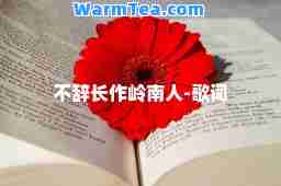 不辞长作岭南人-歌词