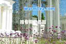 撸专用动态图