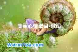 美丽心情歌词-歌词