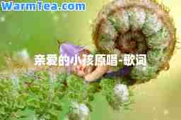 亲爱的小孩原唱-歌词