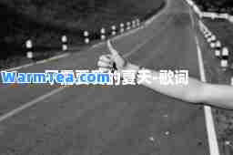 不需要爱的夏天-歌词