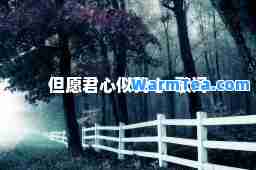 但愿君心似我心-歌词