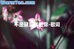 不是寂寞才想你-歌词