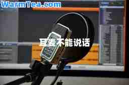 耳麦不能说话