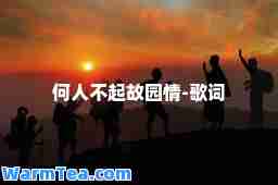 何人不起故园情-歌词