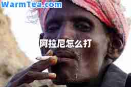 阿拉尼怎么打