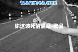 你这该死的温柔-歌词