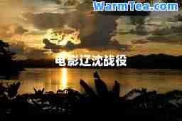 电影辽沈战役