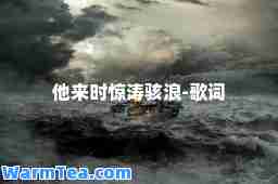 他来时惊涛骇浪-歌词