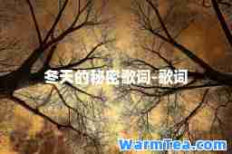 冬天的秘密歌词-歌词