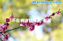 不在梅边在柳边-歌词