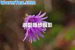 浏阳婚纱摄影
