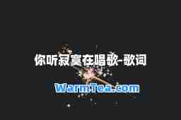 你听寂寞在唱歌-歌词