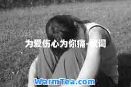 为爱伤心为你痛-歌词
