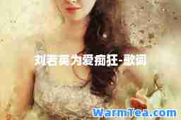 刘若英为爱痴狂-歌词