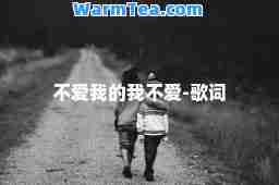 不爱我的我不爱-歌词