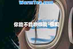 你能不能哄哄我-歌词