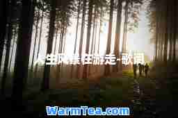 人生风景在游走-歌词
