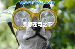 柴静苍穹之下
