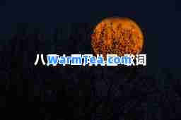 八月十五月儿圆-歌词