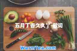 五月丁香久久丫-歌词