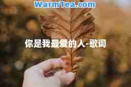 你是我的人-歌词