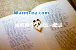 喜欢两个人歌词-歌词