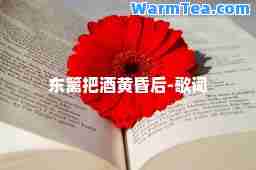东篱把酒黄昏后-歌词
