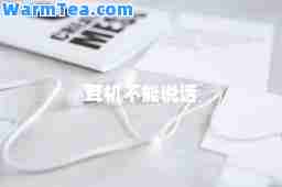 耳机不能说话