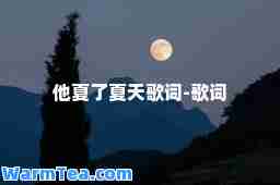 他夏了夏天歌词-歌词