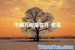 千树万树梨花开-歌词