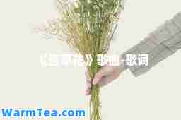 《萱草花》歌曲-歌词