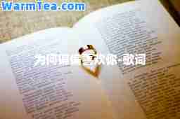 为何偏偏喜欢你-歌词 为何偏偏喜欢你-歌词