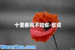 十里春风不如你-歌词
