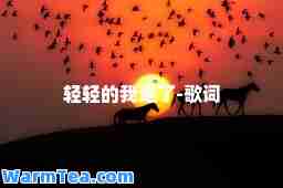 轻轻的我走了-歌词