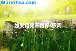 如果月亮不抱你-歌词