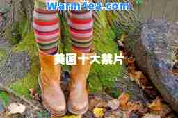 美国十大