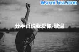 分手再说我爱你-歌词
